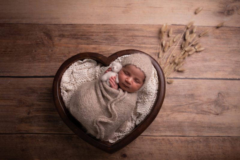 Newbornshoot Almere